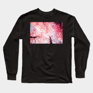 Color Drama One Long Sleeve T-Shirt